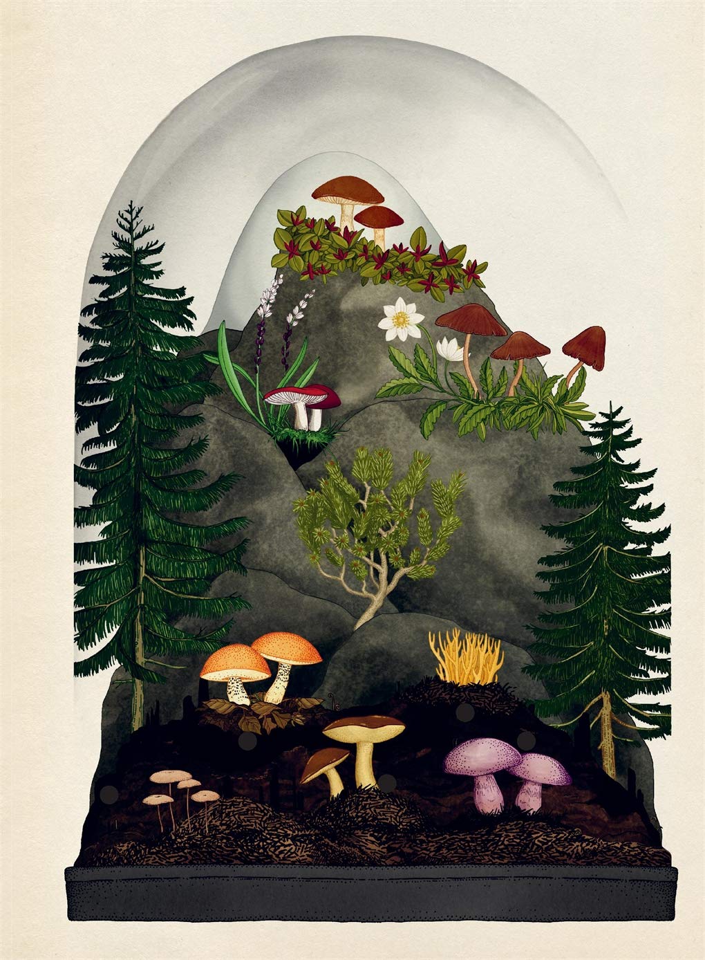 Fungarium (Willkommen im Museum) Gebundene Ausgabe