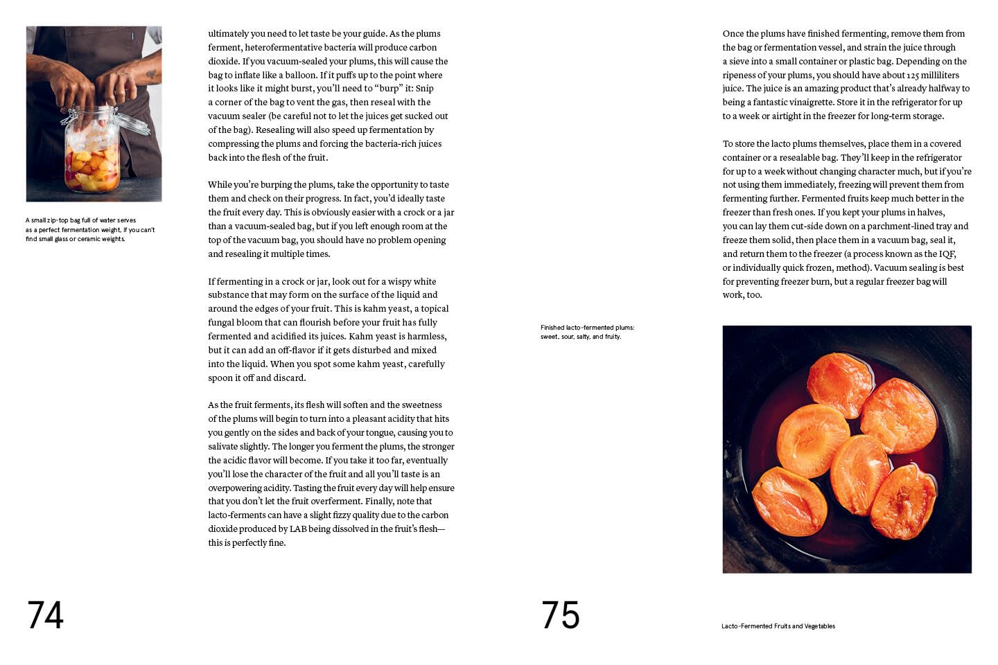The Noma Guide to Fermentation : Including koji, kombuchas, shoyus, misos, vinegars, garums, lacto-ferments, and black fruits and vegetables