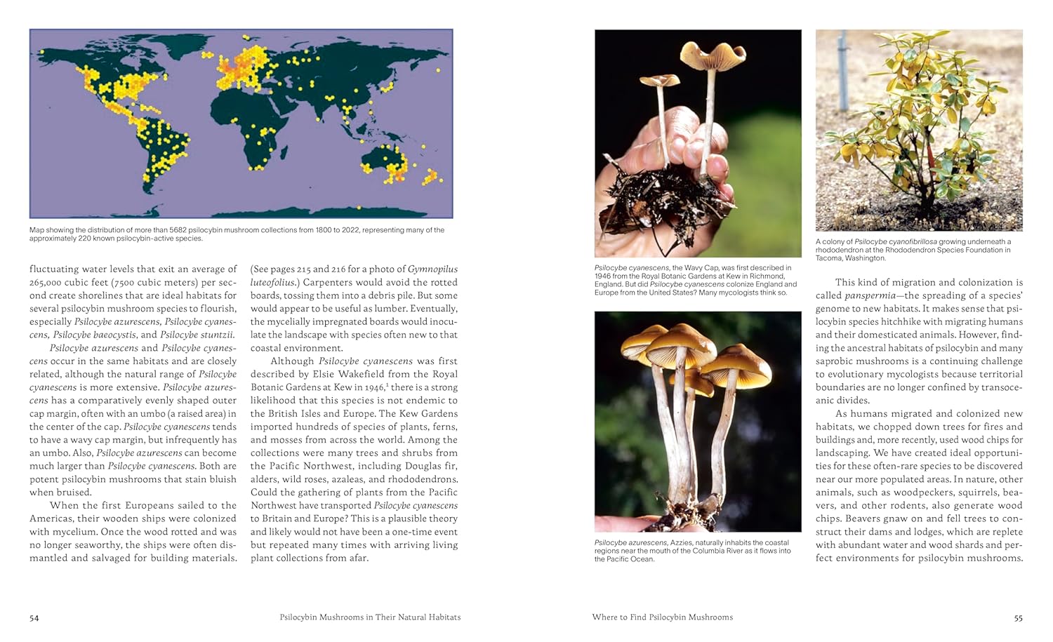 Psilocybin Mushrooms in Their Natural Habitats: A Guide to the History, Identification, and Use of Psychoactive Fungi